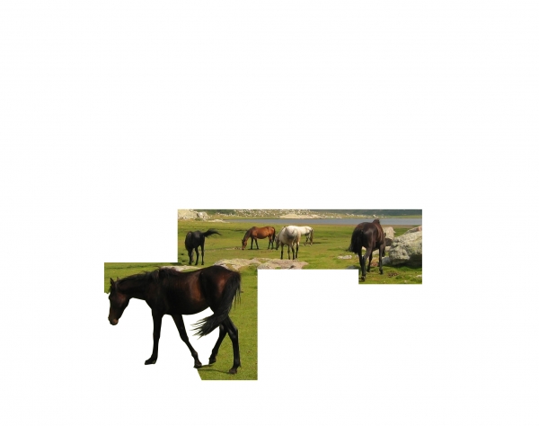 Creation of Spring Graze: Step 1